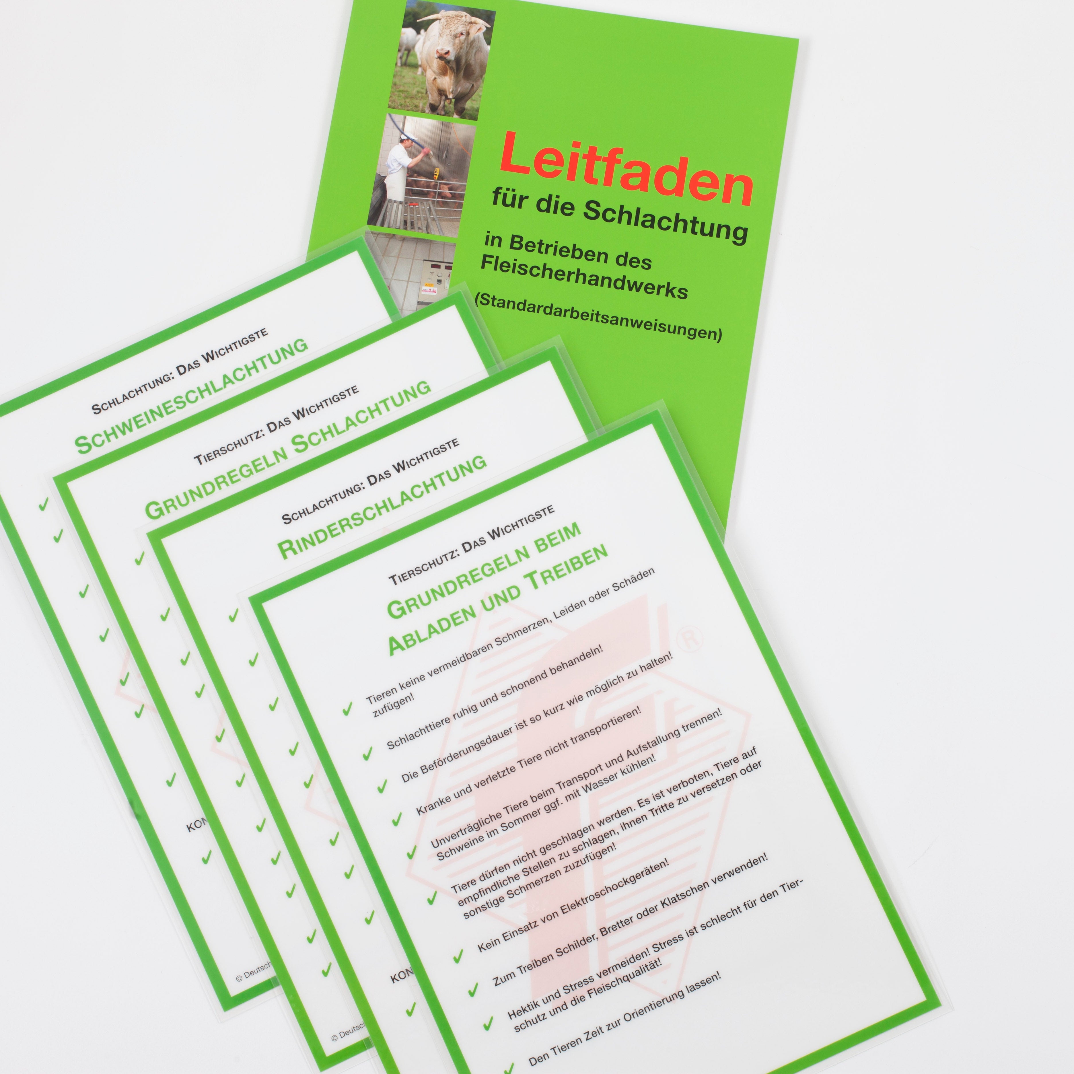 DFV-Leitfaden Schlachtung mit Posterset
