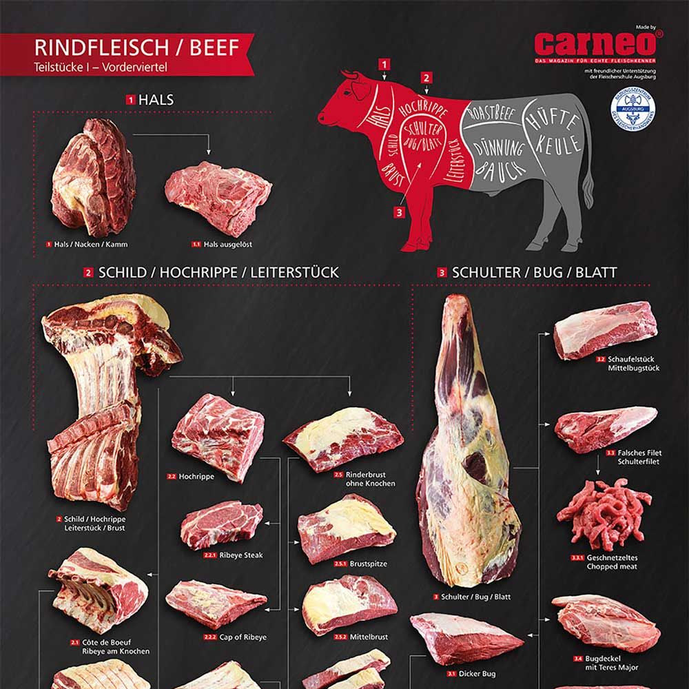 RINDFLEISCH/BEEF Plakat-Teilstücke I Vorderviertel